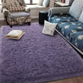 thumbnail image 3 of Homore Cute Fluffy Carpet Soft Washable Area Rugs for Bedroom/ Living Room Decoration,3'x5',Gray Purple, 3 of 8