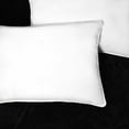 thumbnail image 3 of 100% Microfiber Down Alternative Pillows, 2-Piece Pillow Set by Blue Nile Mills - King, 3 of 7