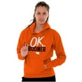 thumbnail image 3 of OK Boomer State of Oklahoma Settlers Unisex Plus Fleece Graphic Hoodie Brisco Brands 2X, 3 of 5