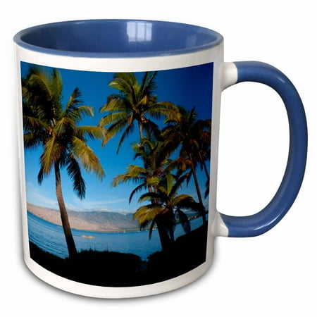 3dRose Kihei, Maui, Hawaii, USA - US12 DPB2410 - Douglas Peebles - Two Tone Blue Mug,