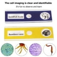 thumbnail image 4 of 60-120x Pocket Microscope Electric Mini Microscope with LED Light Portable High Definition Children Microscope with Specimens for Kids Students Microbiological Observation Learning, 4 of 10