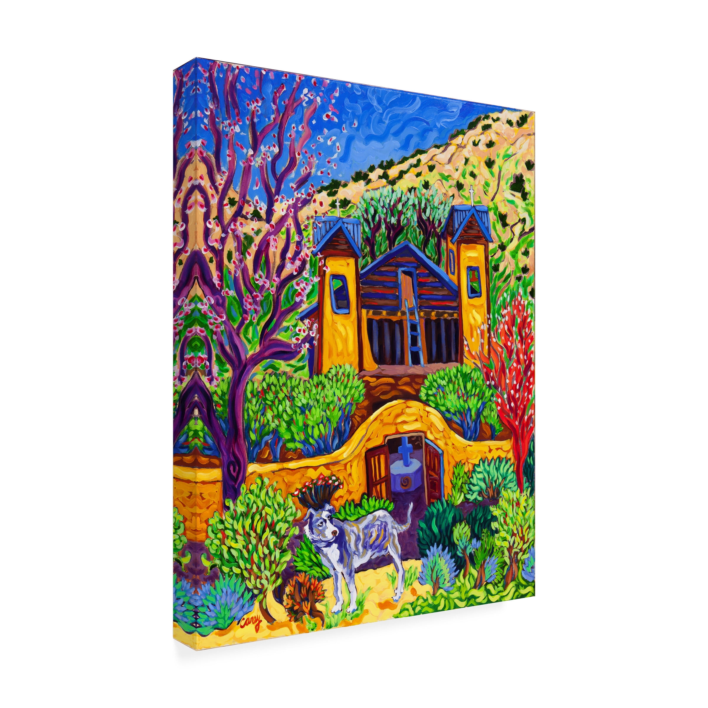 Cathy Carey 'The Chimayo Greeter' Canvas Art