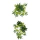 thumbnail image 1 of 2 Uds Reptiles Flexibles Vid Jungla Escalador Vides Decoración Artificial 30cm Y 40cm Sunnimix Reptiles Vine Jungle, 1 of 8