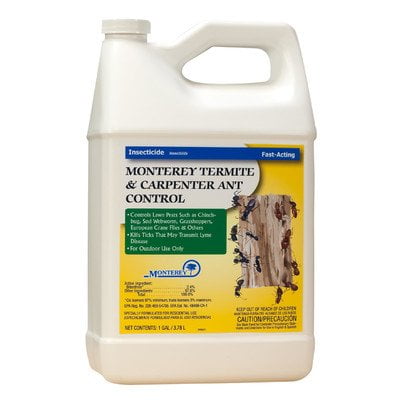ant termite monterey 32oz