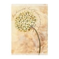 thumbnail image 5 of Boxed Cards: Easter- Flowers, 5 of 22