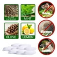 Peppermint Oil Rodent Repellent for Mouse Keep Mice Out For House