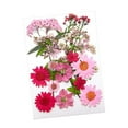 thumbnail image 4 of Flores prensadas secas Strade Fareast Limited paquete de flores artesanales, 4 of 8