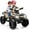 brown, variant on EastVita 2 Seater Ride On Car,24V Licensed Can-Am Electric ATV Car for Kids, 4 Wheeler Electric Toy Car with Bluetooth,Led,Leather Seaters,5 Mph Max Speed