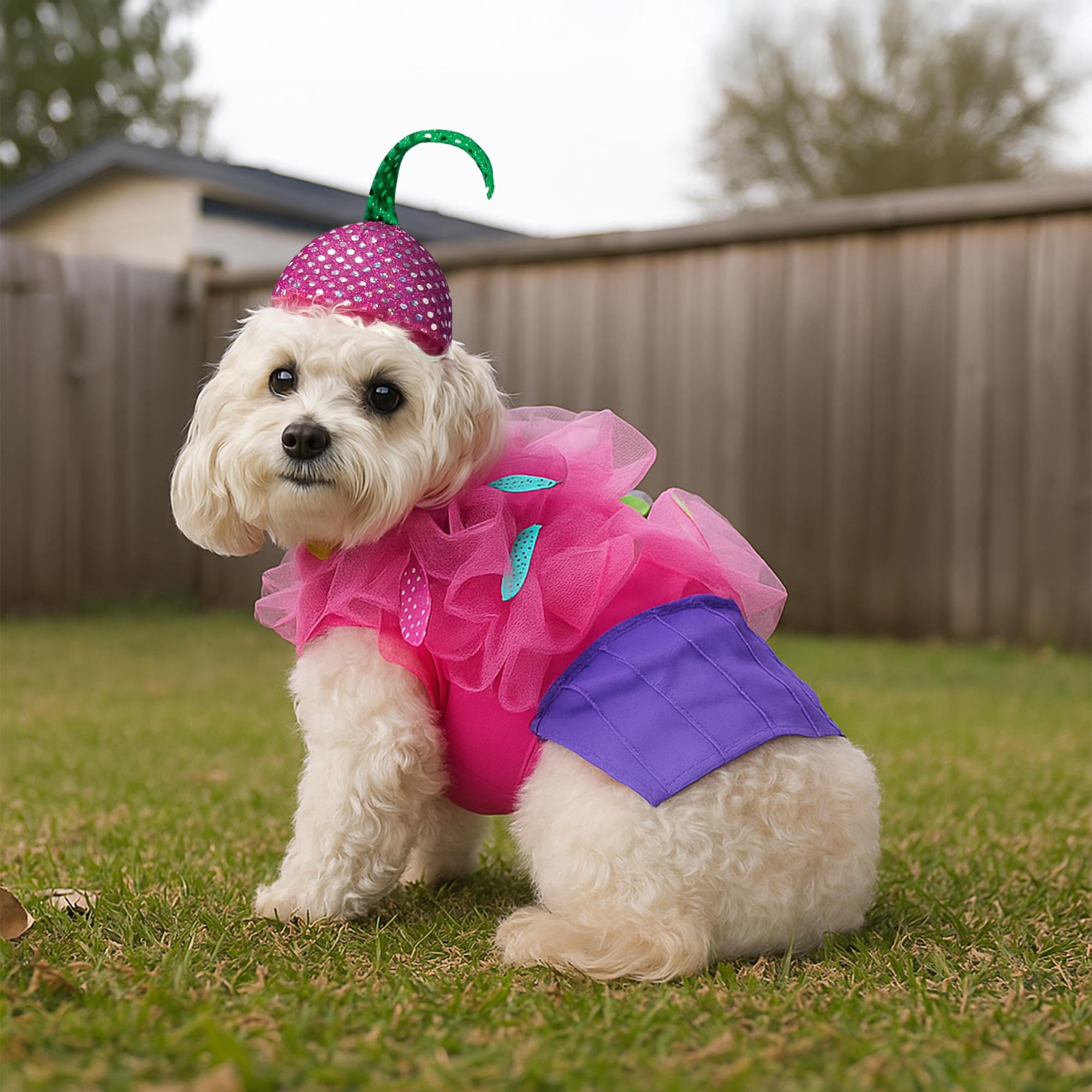 Rasta Imposta Cupcake Dog Pet Costume | XXX-Large Unisex - Walmart.com