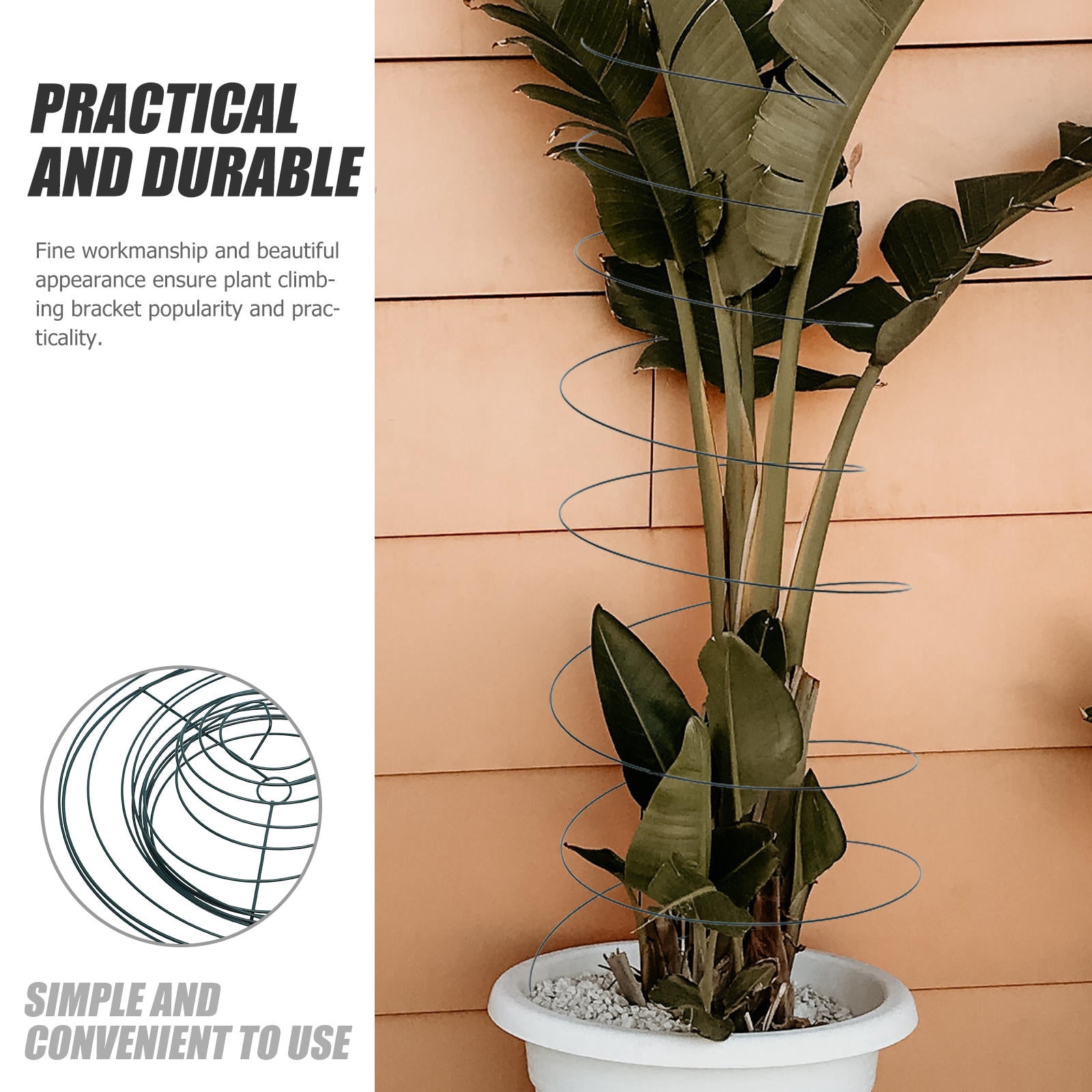 FENGGUIQU 2Pcs Spiral Plant Climbing Trellis in Green Durable Stainless Steel for Home Garden