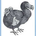thumbnail image 3 of CafePress - Dodo Bird Ash Grey T Shirt - Men's Classic Graphic T-Shirt, 3 of 5
