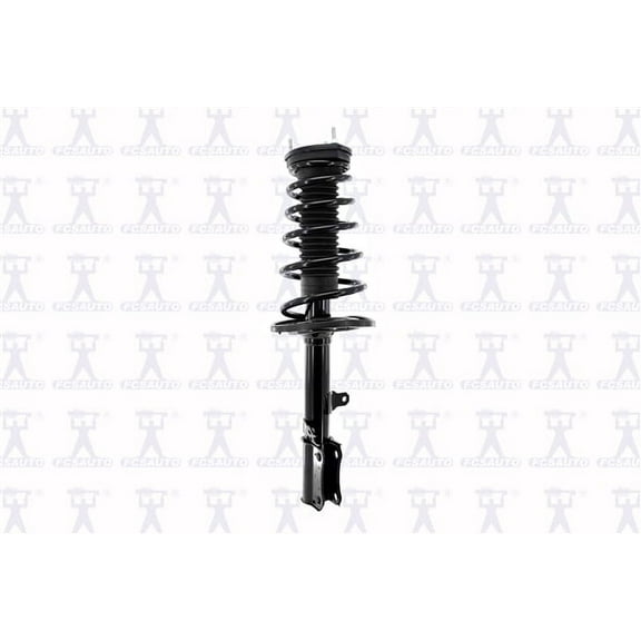 Suspension Strut and Coil Spring Assembly
