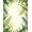 Green, Pattern 1, variant on ODIKA 4' x 6' Machine Washable Non-Slip Area Rug, Tropical Monstera High Traffic Rug, Green, 131425
