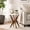 White Walnut, variant on Round End Table 24'' High Side Table with White Top & Cross Legs, Mid Century Modern Accent Bedside Table for Living Room, Balcony, Bedroom or Small Spaces, White Walnut