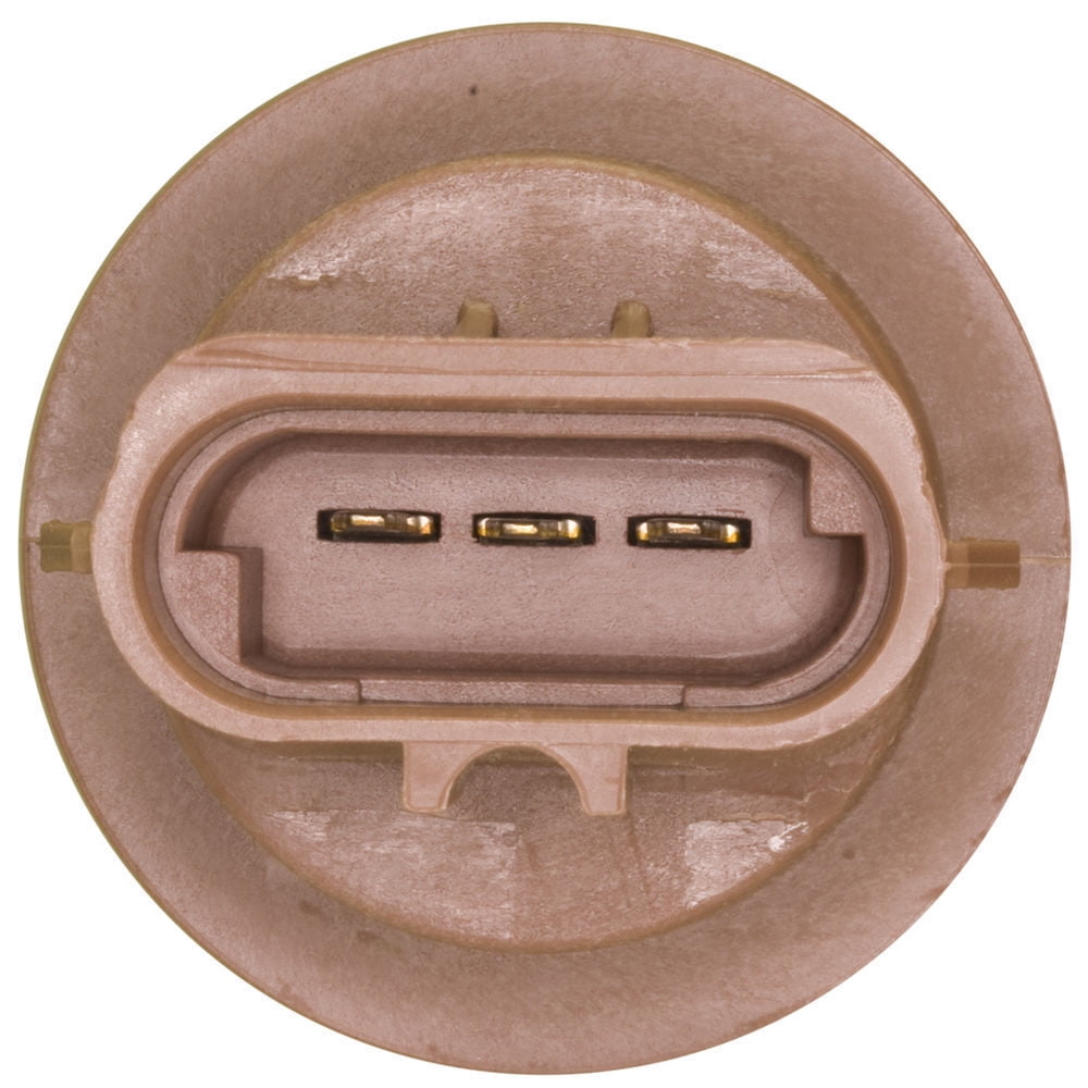 WVE Brake Light Socket