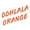 Oohlala Orange, variant on Scrubblade 15" 380MM Blue Silicone ShadeBlade Wiper Blade