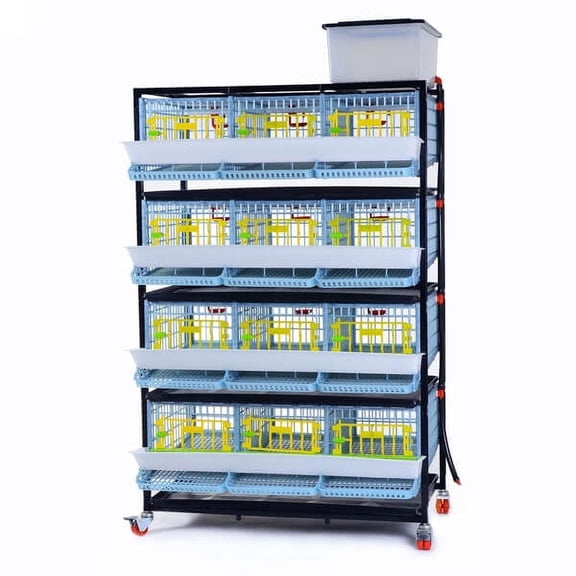 Hatching Time Quail Cage - 4 Layer (Power-Washable, Durable, ABS Plastic) | Cimuka