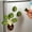 🔥Green_Hot#223, variant on Magnetic Bag Clips Leaf Shaped Reusable Chip Clips for Snacks Coffee Spices with Heart Base Fridge Magnet Food Storage Decor