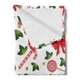 thumbnail image 2 of Candy Cane Soft Flannel Fleece Blanket, Holly Berry Mistletoe Traditional Red and White Patterned Sugary Food on Sticks, Cozy Plush for Indoor and Outdoor Use, 50" x 60", Multicolor, by Ambesonne, 2 of 5