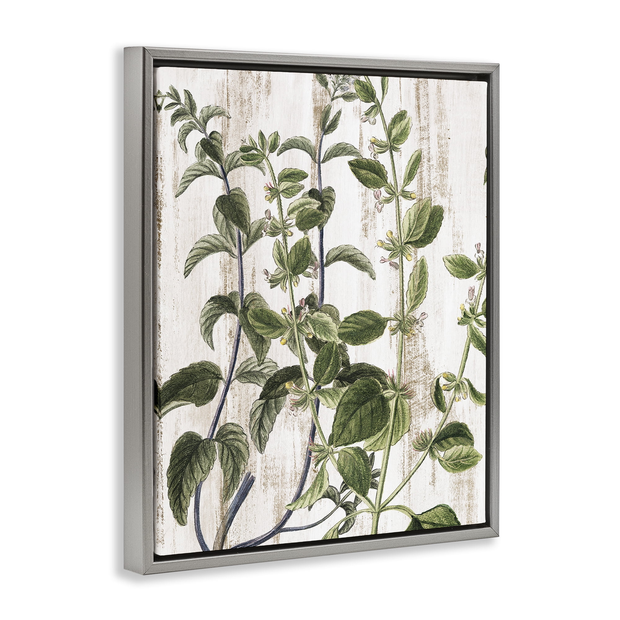 Stupell Industries Rustic Botanical Vines Botanical & Floral Painting Gray Floater Framed Art Print Wall Art, 25 x 31