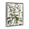thumbnail image 4 of Stupell Industries Rustic Botanical Vines Botanical & Floral Painting Gray Floater Framed Art Print Wall Art, 25 x 31, 4 of 10