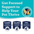 thumbnail image 6 of (2 pack) Solid Gold Hund-N-Flocken Holistic Adult Dry Dog Food, Lamb, 12lb., 6 of 10
