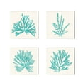 thumbnail image 1 of Great Art Now Pacific Sea Mosses Aqua by Wild Apple Portfolio 4 Piece Canvas Art Set Each 14"W x 14"H, 1 of 5