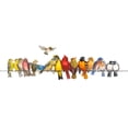 thumbnail image 2 of Russell, Wendy 14x7 White Modern Wood Framed Museum Art Print Titled - Large Bird Menagerie, 2 of 4