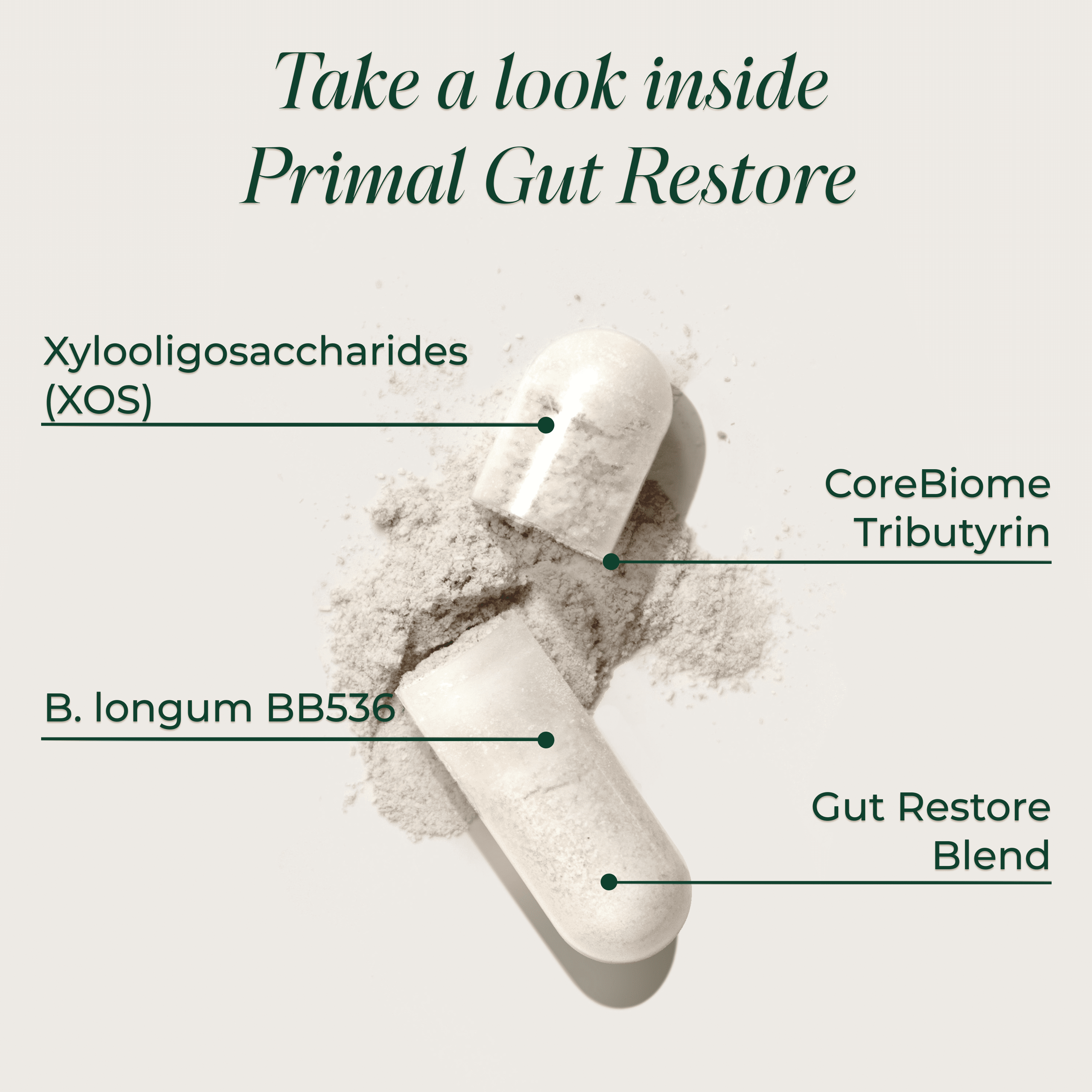 Primal Harvest Gut Restore improves digestion and energy (60 Capusles)