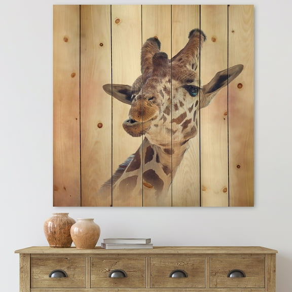 Designart 'Close Up Portrait of A Giraffe VI' Farmhouse Print on Natural Pine Wood