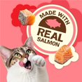 thumbnail image 3 of Purina Cat Treats, Party Mix Gravy-licious Crunch Chicken and Gravy Flavors - 20 oz. Pouch, 3 of 5