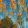 thumbnail image 2 of Larson 20x20 Black Ornate Wood Framed with Double Matting Museum Art Print Titled - Falling Up I, 2 of 4