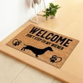 Funny Doormat Mats Crazy Dogs Don't Step On My Wiener Front