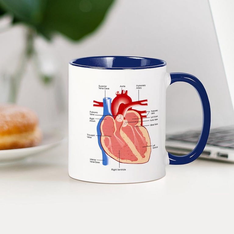 CafePress - Human Heart Anatomy Mug - 11 oz Ceramic Mug - Novelty Coffee  Tea Cup - Walmart.com