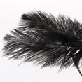 thumbnail image 3 of Diadema De Plumas Hecha A Mano - De Plumas De - Diadema Con Hugo Diadema Flapper para mujer, 3 of 10