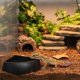 thumbnail image 5 of Juego de 6 Bebederos para Tortugas, Comederos Multiusos para Reptiles, Esquineros Fáciles de Limpiar (para Terrarios). 2 piezas, 5 of 7