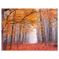 thumbnail image 2 of Arbres Magnifiques avec Feuilles Tombées - Impression sur Toile Photographie de Paysage, 2 of 3