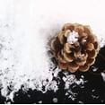 thumbnail image 1 of Neige Artificielle / Neige Artificielle Moelleuse - 105g-Pa, 1 of 4
