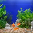 thumbnail image 5 of Acrylic Aquarium Fish Feeder Tube and Dish Set with Suction Cups,Clear Fish Feeding Station for Shrimp,Turtles,and Tropical Fish, 5 of 5