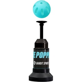 Blast Motion Official MLB 360 Baseball Swing Analyzer & Bat
