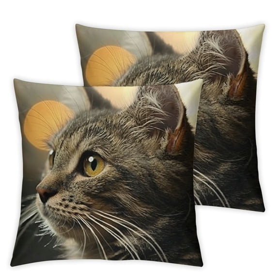 Cute Cat Throw Pillow Cover Couch Pillow Case Square Outdoor Pillow Sofa Bed Lumbar Pillowcase Decorative
