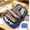 Blue, variant on Large Capacity Sketch Pencil Case, Waterproof Student Organizer for 72 Colored Pencils or Art Tools