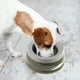 thumbnail image 4 of Cuenco de agua para mascotas sin derrames, Cuenco dispensador de agua con tapón de baba para perros, Cuenco de agua para mascotas con flotabilidad, 4 of 5