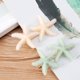 thumbnail image 5 of 2 pinzas para el pelo sencillas con forma de estrella de mar, horquillas de moda para fiestas, accesorios para el cabello (blanco y verde claro), 5 of 5