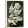 thumbnail image 1 of ARTCANVAS White Gyrfalcons Canvas Art Print by John James Audubon - Size: 40" x 26" (1.50" Deep), 1 of 9