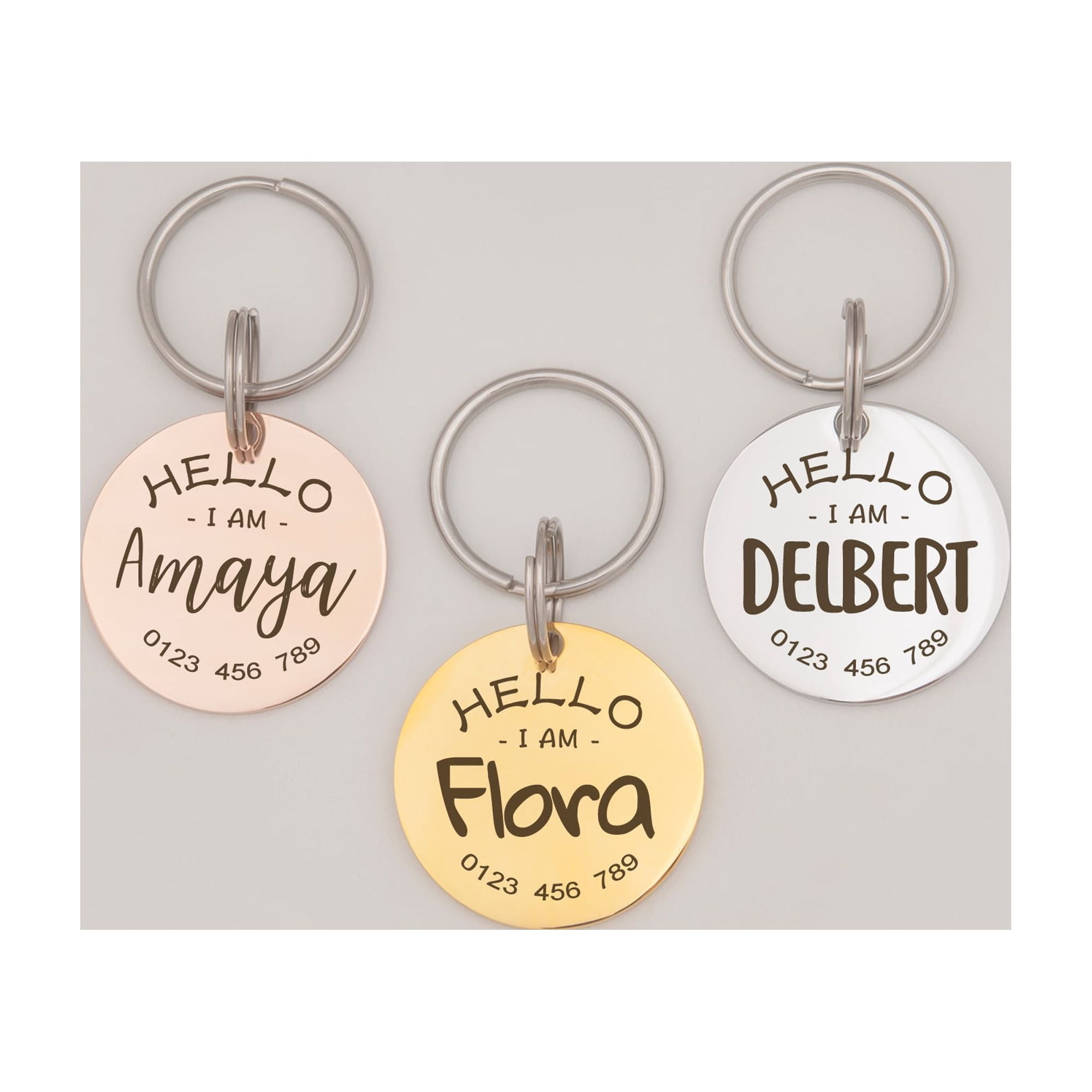 Anavia Metal Stainless Steel Round Name - Phone Number Birthday Holiday Christmas Engraved Dog Cat ID Tag, Silver