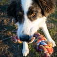 thumbnail image 6 of CloudStar Tricky Trainers Grain Free Crunchy Dog Training Treats Variety Pack – Chicken Liver, Cheddar & Salmon | MerlinsMart Zine & Rope Toy, 6 of 9