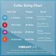 thumbnail image 3 of Vibrant Life Reflective Polyester Adjustable Dog Collar, Black, Small, 3 of 5