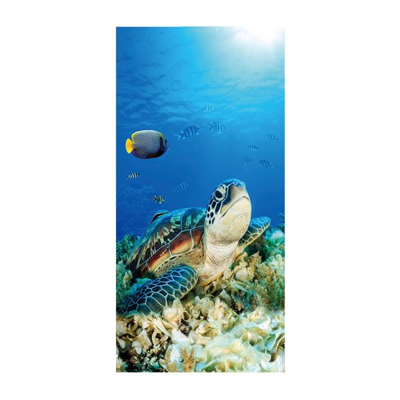 PFFRIZ Beach Beach Hand Towels Seashells Starfishs Face Towel Ocean Sea Soft Thin Guest Towel Portable Kitchen Tea Towels Dish 60 X 30 in Clearance