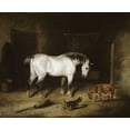 thumbnail image 2 of Herring, John Frederick 14x12 Black Ornate Wood Framed with Double Matting Museum Art Print Titled - White Horse, 2 of 4